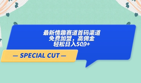 【轻云】最新情趣赛道首码渠道，免费加盟，高佣金，轻松日入5张+-琴书聊项目