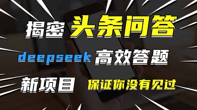 头条问答，刚出的新玩法！保证你没见过！用DeepSeek去高效答题，一个账…-琴书聊项目