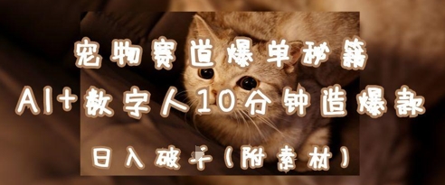 宠物赛道爆单秘籍：AI+数字人10分钟造爆款，日入1k-琴书聊项目