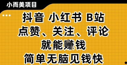 小而美的项目，抖音小红书B站视频点赞、关注、评论就能挣钱，简单无脑立见收益，妥妥的零撸项目【揭秘】-琴书聊项目