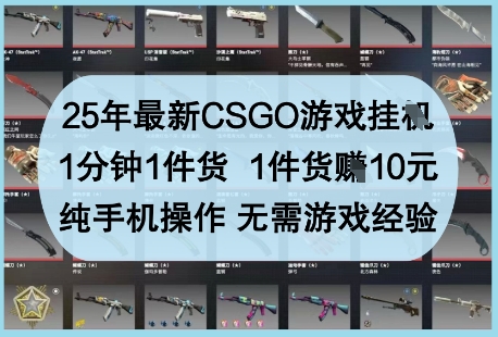 25年最新CSGO游戏挂G，1分钟1件货，1件货挣10元，纯手机操作，无需游戏经验【揭秘】-琴书聊项目
