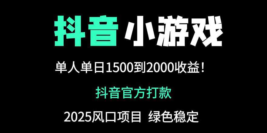 抖音官方小游戏2025全网最新玩法，暴利赚钱项目，单机日入2000+-琴书聊项目