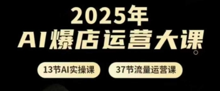 2025年AI爆店运营大课，13节AI实操课+37节流量运营课-琴书聊项目
