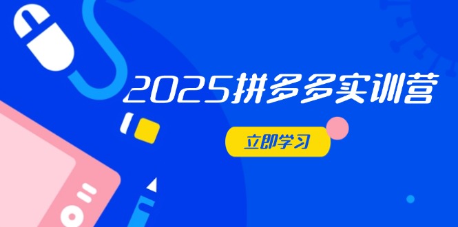2025拼多多实训营：深度剖析运营关键，助力电商人快速提升-琴书聊项目