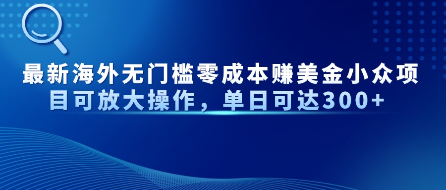 最新海外无门槛零成本赚美金小众项目可放大操作，单日可达300+-琴书聊项目