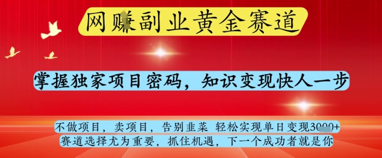 网创副业黄全赛道，掌握独家项目密码，知识变现快人一步，告别韭菜轻松实现单日变现1k+【揭秘】-琴书聊项目