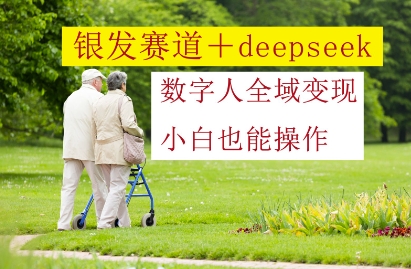 银发赛道+deepseek数字人全域变现，小白也能操作-琴书聊项目