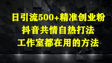 日引流500+精准创业粉，抖音共情自热打法，工作室都在用的方法-琴书聊项目
