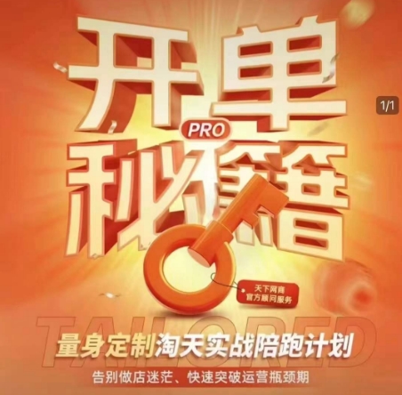 淘宝开单秘籍PRO，量身定制淘天实战陪跑计划，告别做店迷茫、快速突破运营瓶颈期(更新)-琴书聊项目