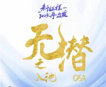 无潜不起全域入池方法论，​2025再出发，全程干货满满，带你掌握全域入池关键技巧-琴书聊项目