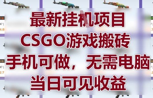 最新挂G项目，CSGO游戏搬砖，手机可做，无需电脑，当日见收益【揭秘】-琴书聊项目