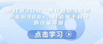小红书3分钟一条作品精准引流创业粉300+，打造属于自己的流量帝国-琴书聊项目