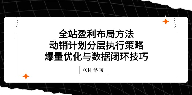 全站盈利布局方法：动销计划分层执行策略，爆量优化与数据闭环技巧-琴书聊项目