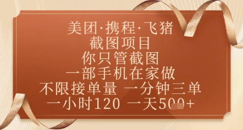 飞猪美团截图项目，你只管截图，一部手机在家做，正规平台无套路，一天5张+【揭秘】-琴书聊项目
