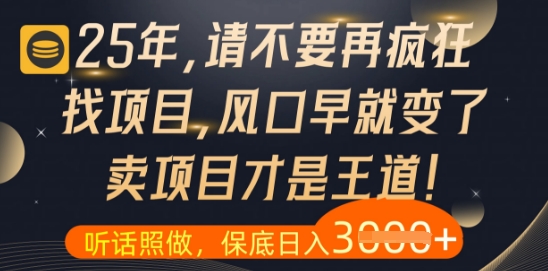 什么？25年你还在疯狂找项目做，醒醒吧，看完这些你全都懂了【揭秘】-琴书聊项目
