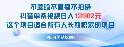 不露脸不直播不拍摄抖音单条视频日入1k+这个项目适合所有人长期积累的项目-琴书聊项目