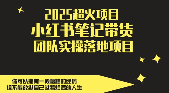 2025超火项目，副业最佳选择，小红书笔记带货团队实操落地项目，，轻松日入5张-琴书聊项目