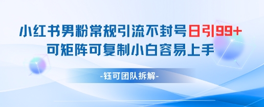 小红书男粉常规引流不封号日引99+变现简单 可矩阵可复制小白容易上手-琴书聊项目