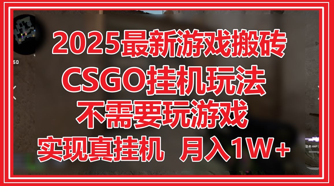 2025最新游戏搬砖，CSGO挂机，不需要玩游戏，实现真挂机，月入1W+-琴书聊项目
