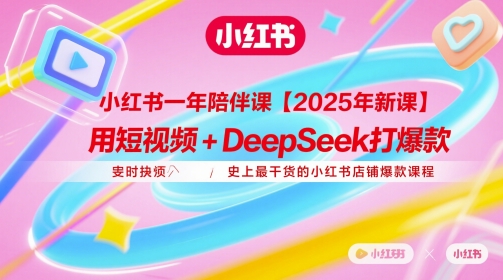 小红书一年陪伴课【2025年新课】，用短视频+deepSeek打爆款，史上最干货的小红书店铺爆款课程-琴书聊项目