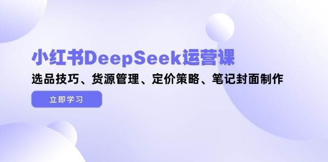 小红书DeepSeek运营课，选品技巧、货源管理、定价策略、笔记封面制作-琴书聊项目