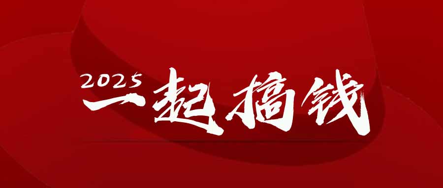 2025年，请“不择手段”去搞钱!-琴书聊项目