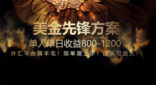 免费技术！小众赛道！一年布局抵三年努力，每日800+-琴书聊项目