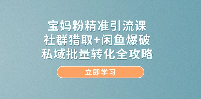 宝妈粉精准引流课，社群猎取+闲鱼爆破，私域批量转化全攻略-琴书聊项目