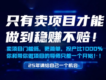 只有卖项目才能做到稳挣不赔，门槛低，更简单，你也可以年入百个W【揭秘】-琴书聊项目