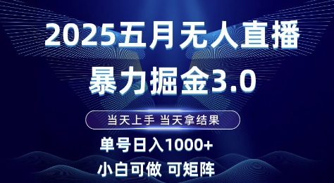2025五月无人直播暴力掘金3.0，当天上手，当天拿结果，单号日入1k+小白可做可矩阵【揭秘】-琴书聊项目