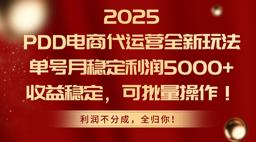 2025PDD电商代运营全新玩法，单号月稳定利润5000+，收益稳定，可批量操作-琴书聊项目