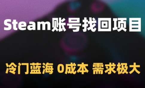 Steam账号找回项目，冷门蓝海，0成本，需求极大-琴书聊项目
