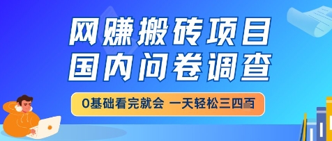 网创搬砖项目，国内问卷调查，小白轻松上手，一天三四张的也不难，干就完了【揭秘】-琴书聊项目