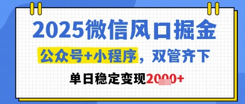 2025微信风口掘金，公众号+小程序双管齐下，单日稳定变现1k+【揭秘】-琴书聊项目