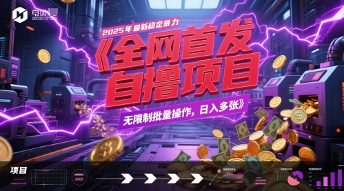 全网首发，2025年最新稳定暴力全自动自撸项目，无限制批量操作，日入多张【揭秘】-琴书聊项目