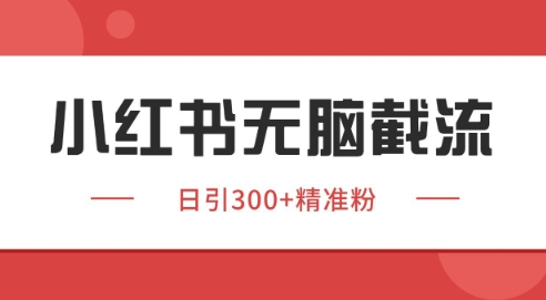 小红书截流同行客源，独家野路子获客玩法 日引200+暴力获客【揭秘】-琴书聊项目