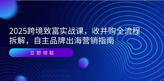 2025跨境致富实战课，收并购全流程拆解，自主品牌出海营销指南-琴书聊项目