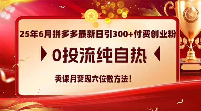 25年6月拼多多最新日引300+付费创业粉，0投流纯自热 卖课月变现六位数方法-琴书聊项目