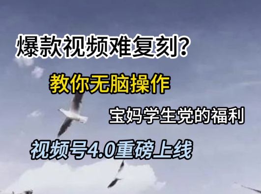 视频号4.0重磅上线，爆款视频难复刻？教你无脑操作宝妈学生党的福利【揭秘】-琴书聊项目
