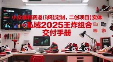 小众暴利赛道(球鞋定制，二创项目)实体+私域2025王炸组合  交付手册-琴书聊项目