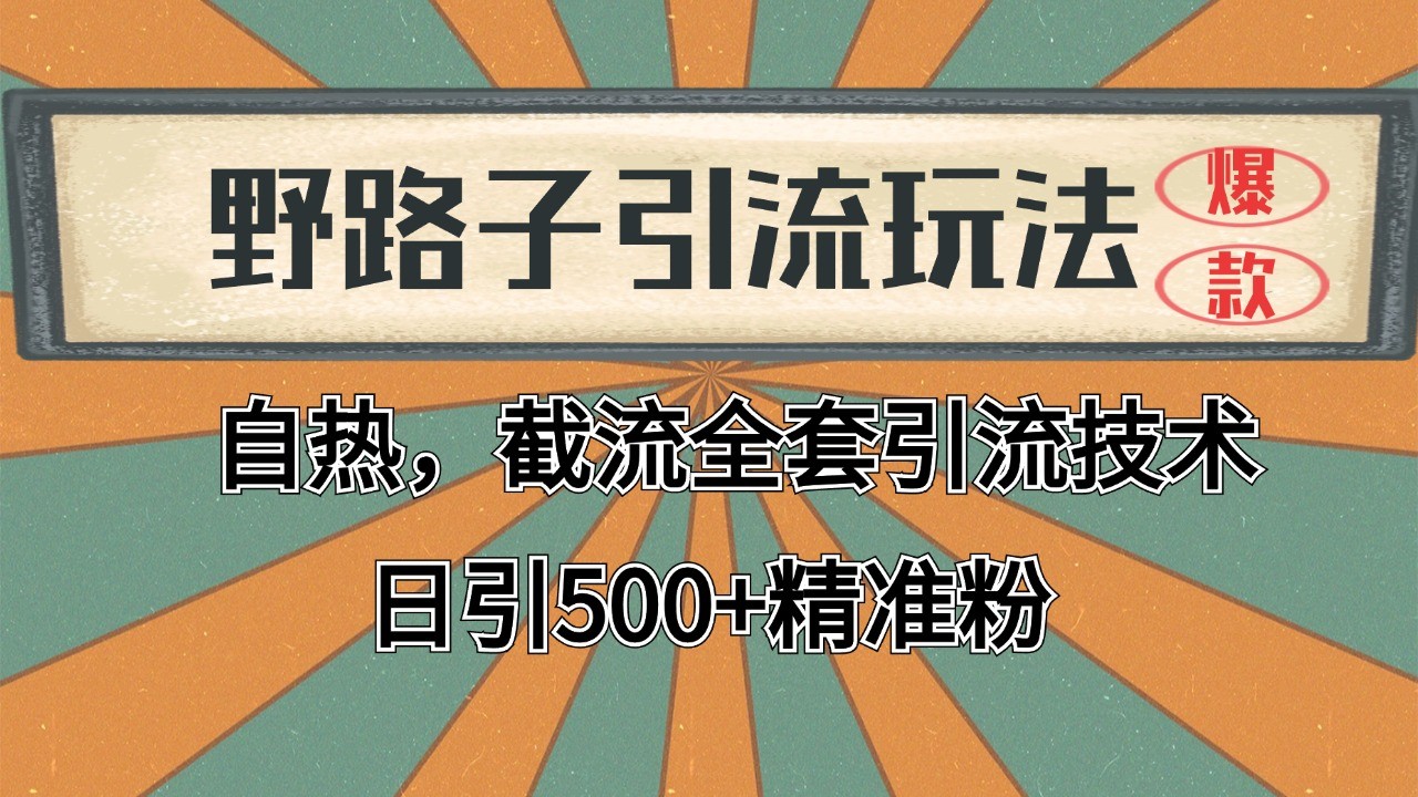 2024首发野路子引流玩法截流自热全平台打法，全自动引流【日引2000+精准客户】-琴书聊项目