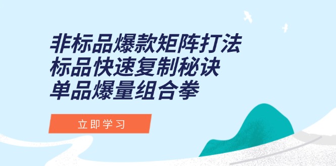 非标品爆款矩阵打法，标品快速复制秘诀，单品爆量组合拳-琴书聊项目