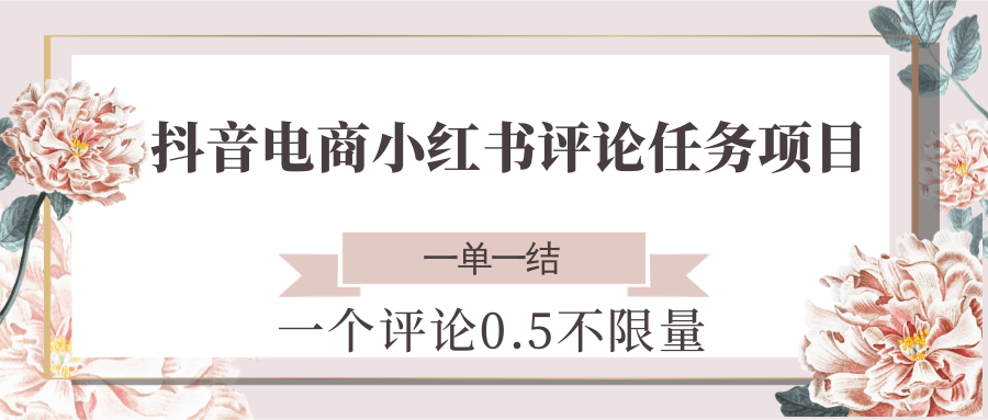 抖音电商小红书评论任务项目，一个评论0.5，一单一结 不限量-琴书聊项目