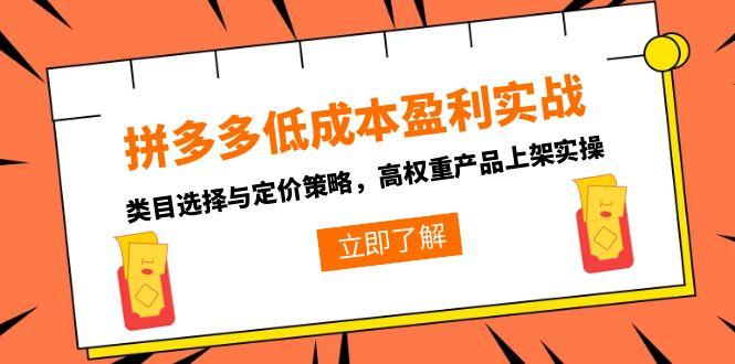 拼多多低成本盈利实战，类目选择与定价策略，高权重产品上架实操-琴书聊项目