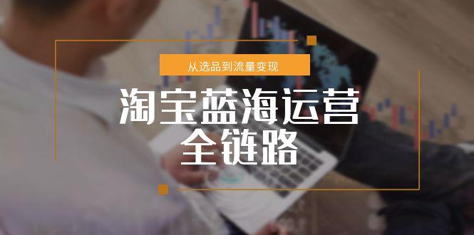 淘宝蓝海运营全链路，从选品到流量变现，小类目突围完整方案-琴书聊项目