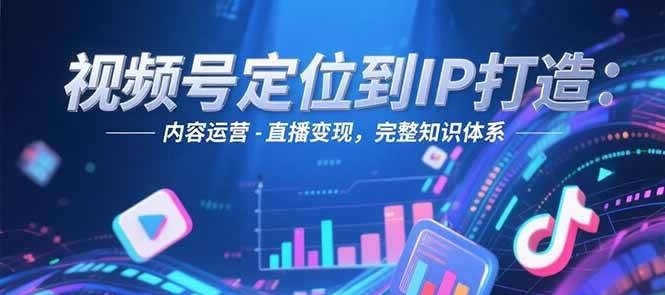 视频号定位到IP打造：账号搭建-内容运营-直播变现，完整知识体系-琴书聊项目