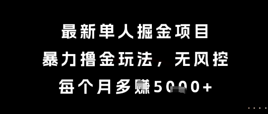 最新单人掘金项目，暴力撸金玩法，无风控，每个月多挣5k+【揭秘】-琴书聊项目