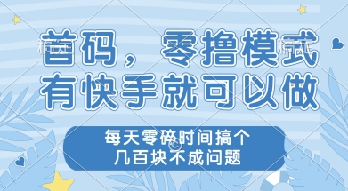 首码零撸项目，有快手就可以做，每天业务时间搞个几张不是问题【揭秘】-琴书聊项目