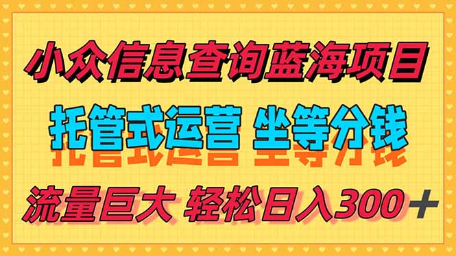 稳定日入300＋，小众信息查询蓝海项目，全程懒人式托管，解放你的时间-琴书聊项目