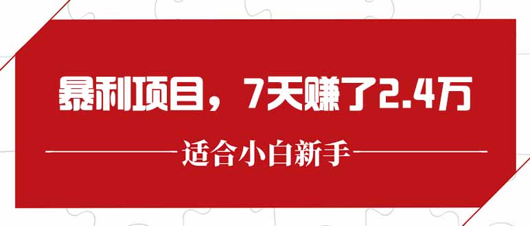 最新暴利项目，每单收益轻松在300以上，7天赚了2.4万-琴书聊项目